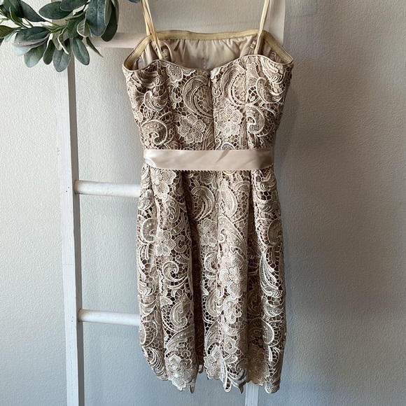 Adrianna Papell- Strapless, Laced Cocktail Dress- Sz 4 - Picture 6 of 8